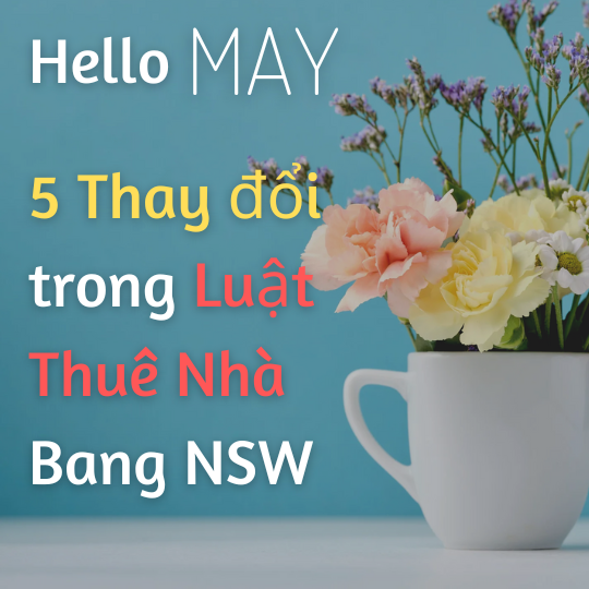 Những thay đổi trong luật thuê nhà bang NSW 2025